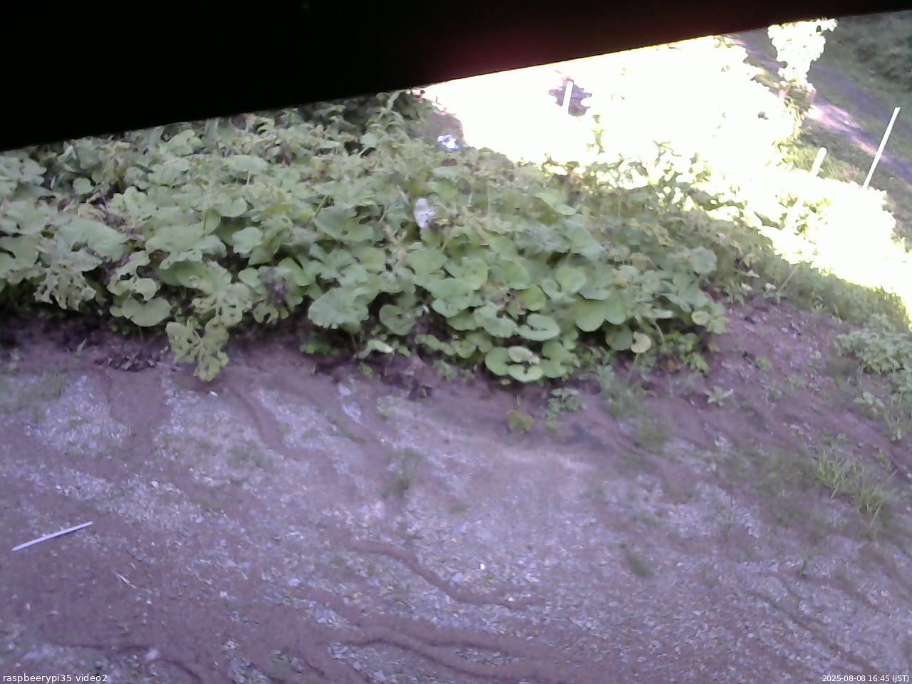 長野県菅平高原 ゆたか山荘 駐車場 2025/08/08 16:45
