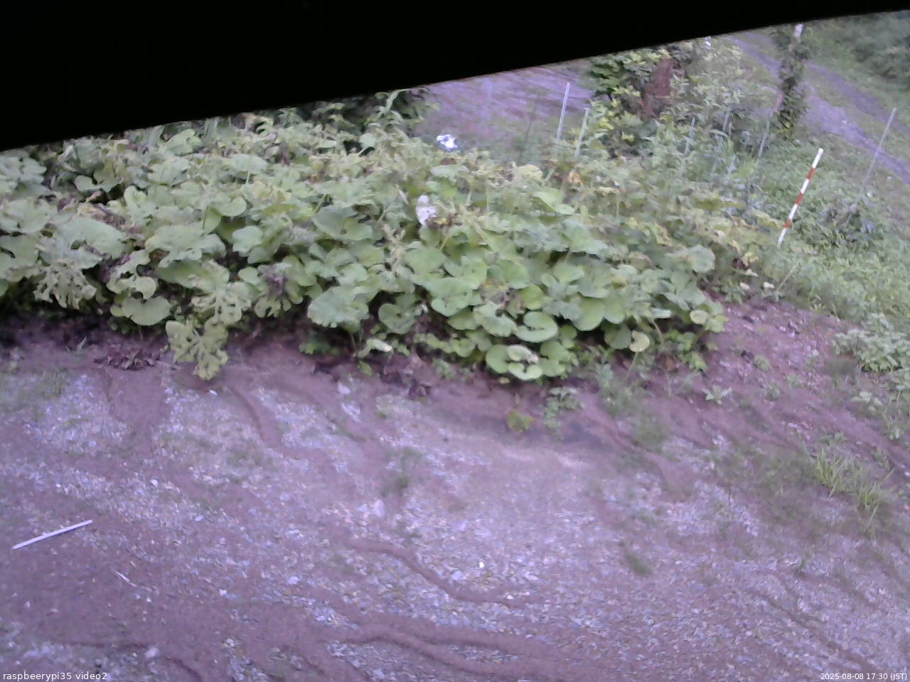 長野県菅平高原 ゆたか山荘 駐車場 2025/08/08 17:30