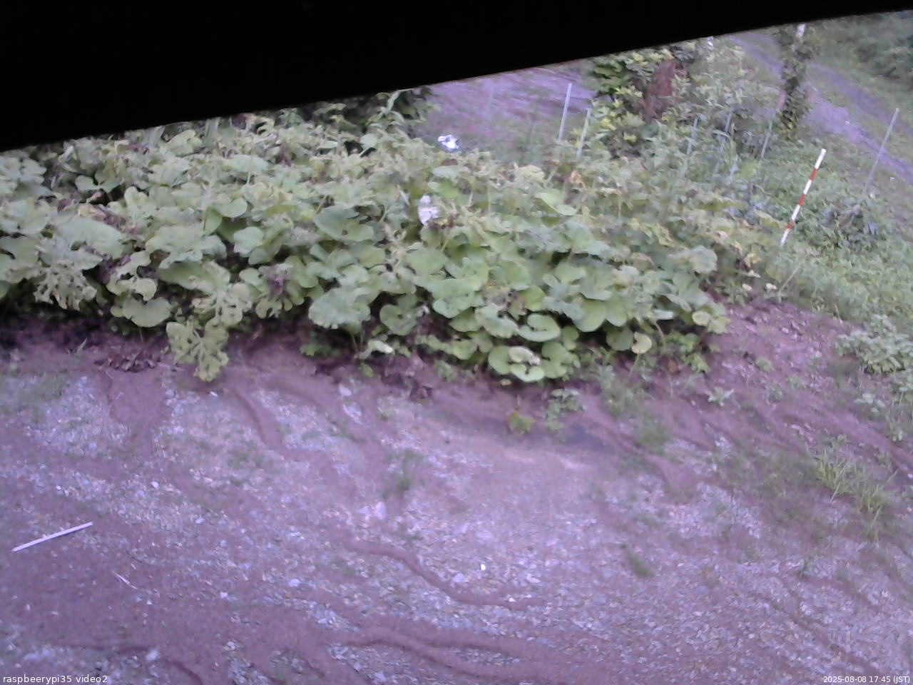長野県菅平高原 ゆたか山荘 駐車場 2025/08/08 17:45