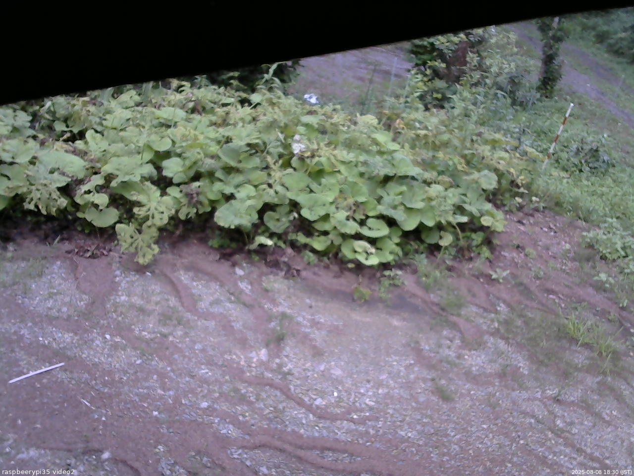 長野県菅平高原 ゆたか山荘 駐車場 2025/08/08 18:30