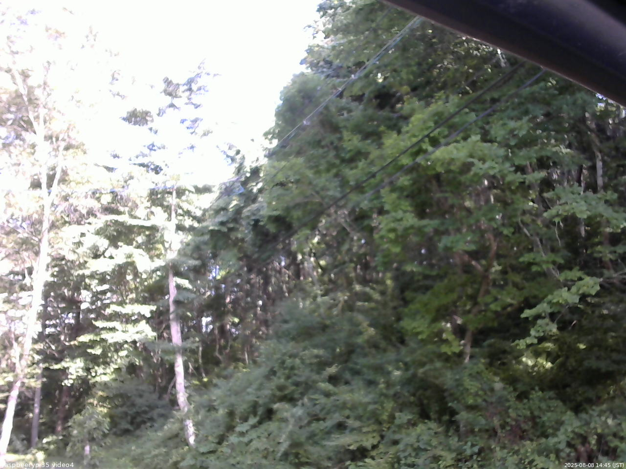 長野県菅平高原 ゆたか山荘 東側上空 2025/08/08 14:45