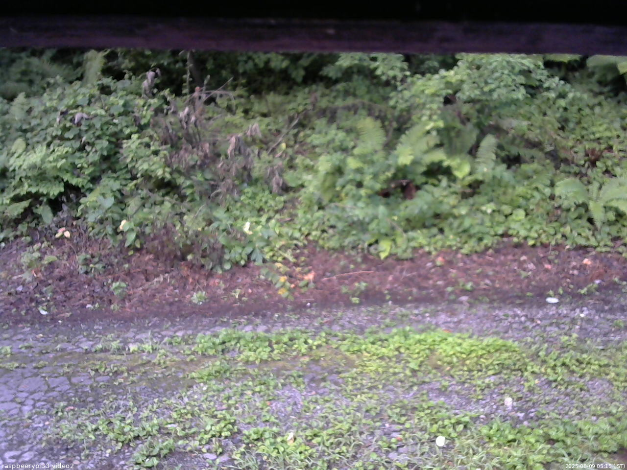 長野県菅平高原 ゆたか山荘 南側 2025/08/09 05:15