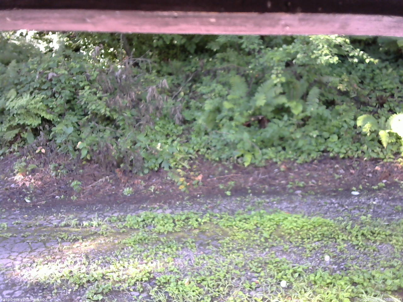 長野県菅平高原 ゆたか山荘 南側 2025/08/09 07:00