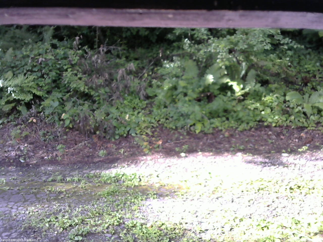 長野県菅平高原 ゆたか山荘 南側 2025/08/09 07:45