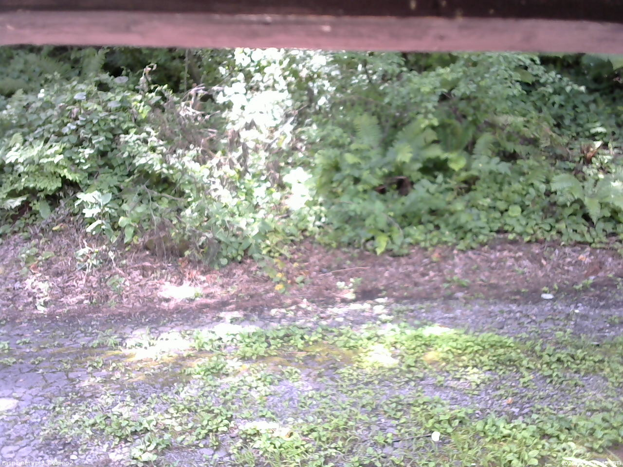 長野県菅平高原 ゆたか山荘 南側 2025/08/09 10:45