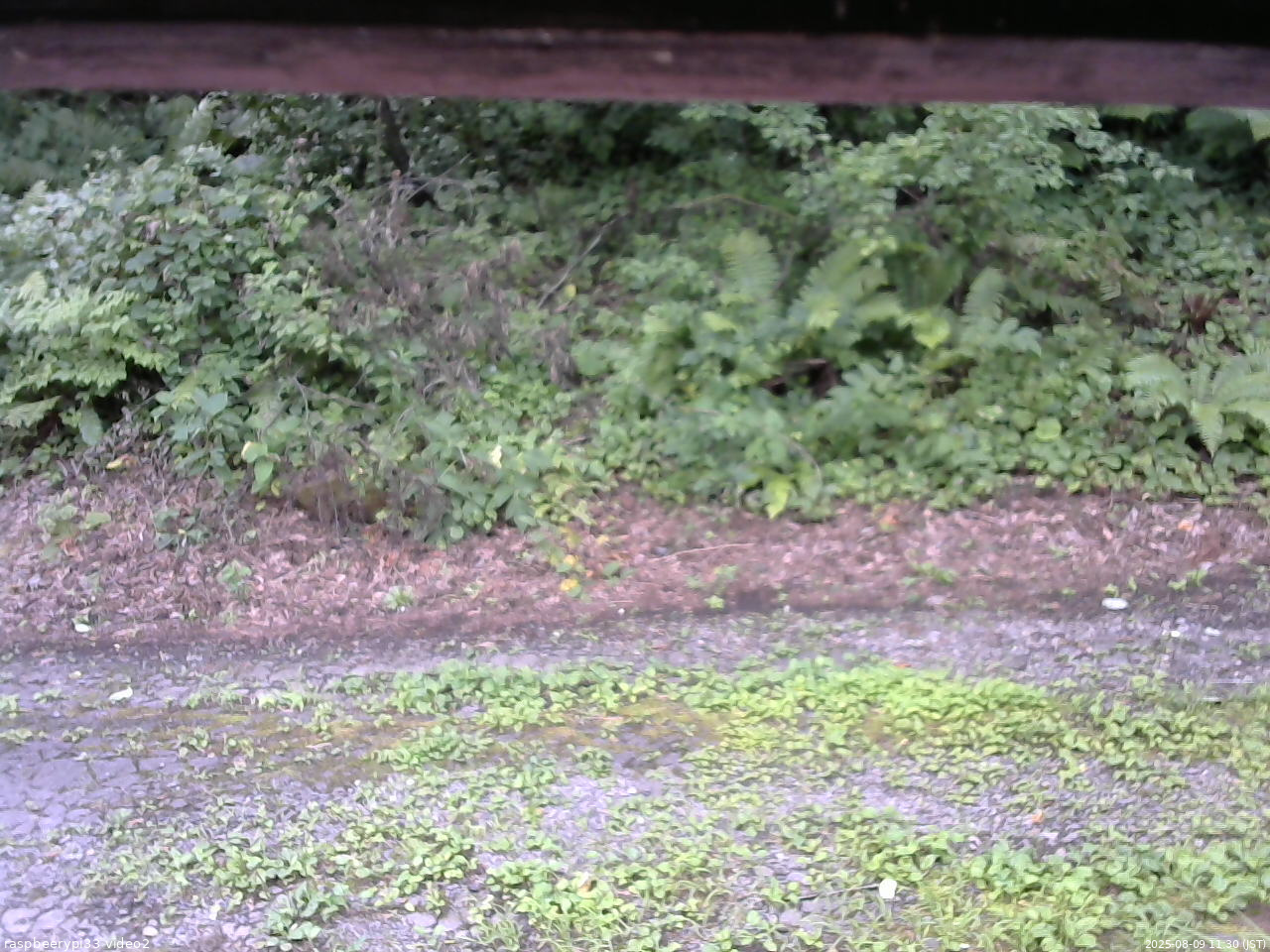 長野県菅平高原 ゆたか山荘 南側 2025/08/09 11:30