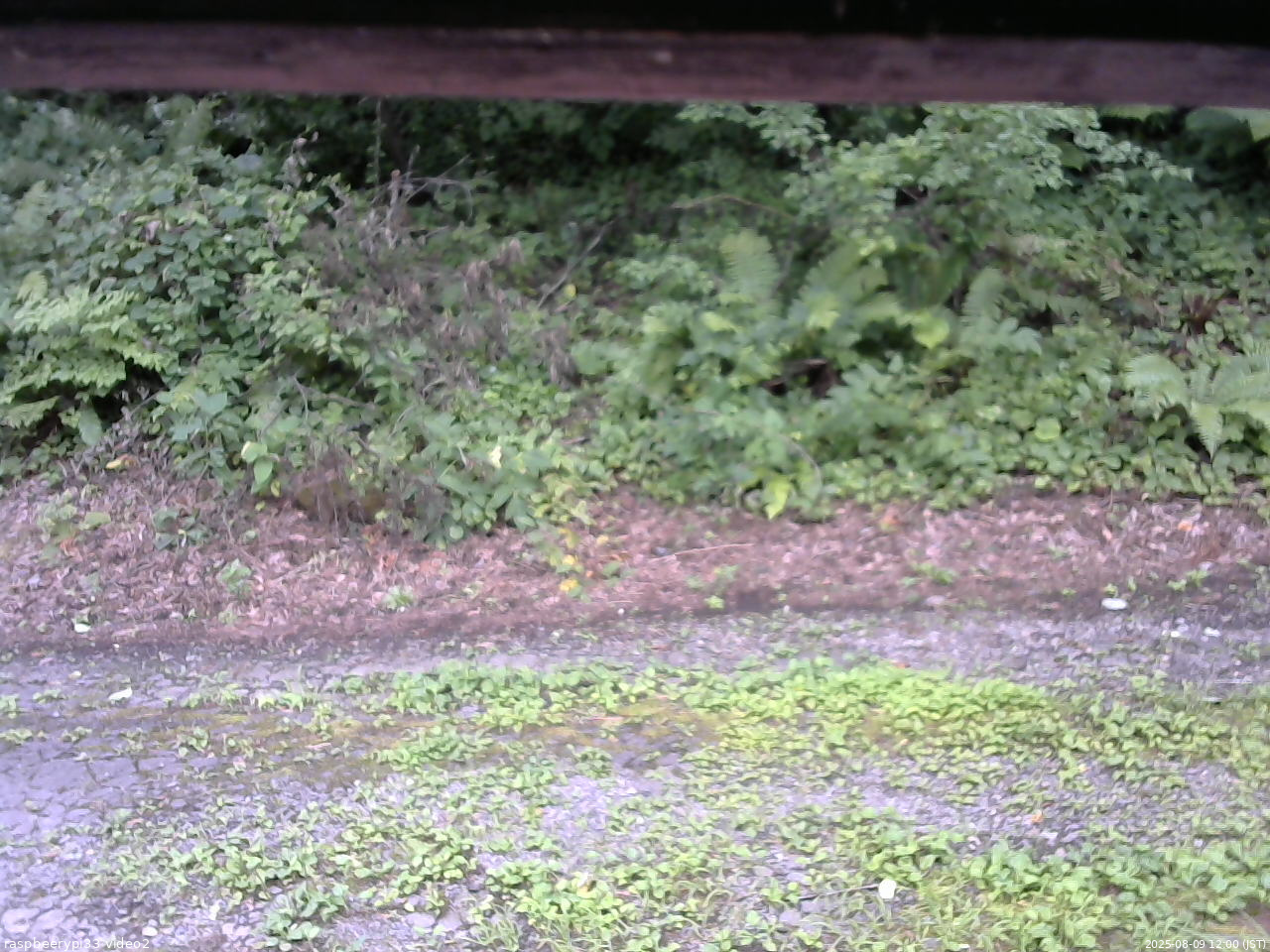 長野県菅平高原 ゆたか山荘 南側 2025/08/09 12:00
