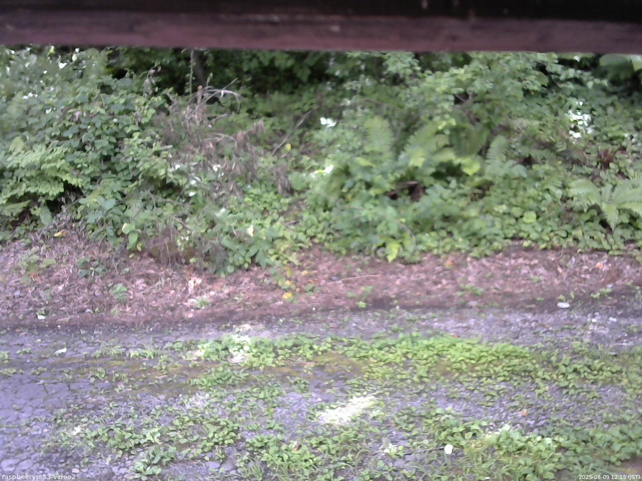 長野県菅平高原 ゆたか山荘 南側 2025/08/09 12:15
