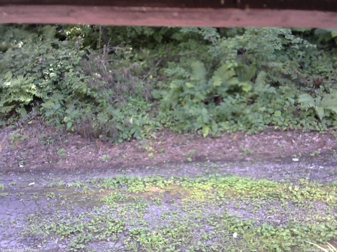 長野県菅平高原 ゆたか山荘 南側 2025/08/09 14:30