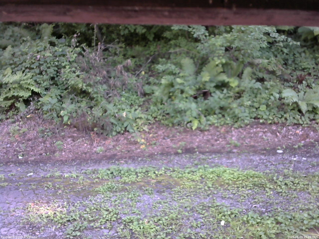 長野県菅平高原 ゆたか山荘 南側 2025/08/09 15:45