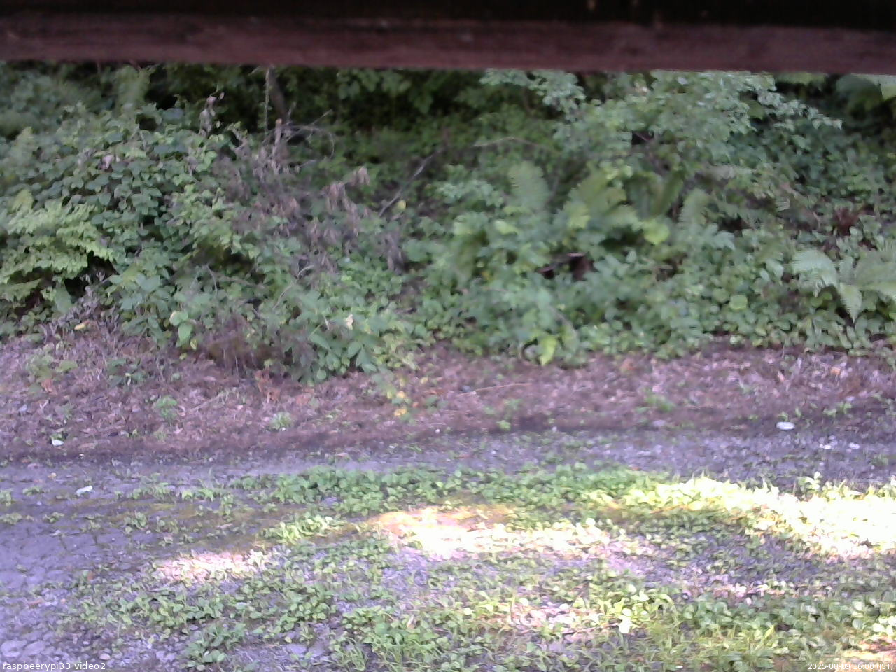 長野県菅平高原 ゆたか山荘 南側 2025/08/09 16:00