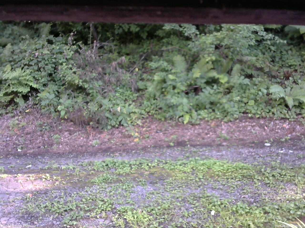 長野県菅平高原 ゆたか山荘 南側 2025/08/09 16:30