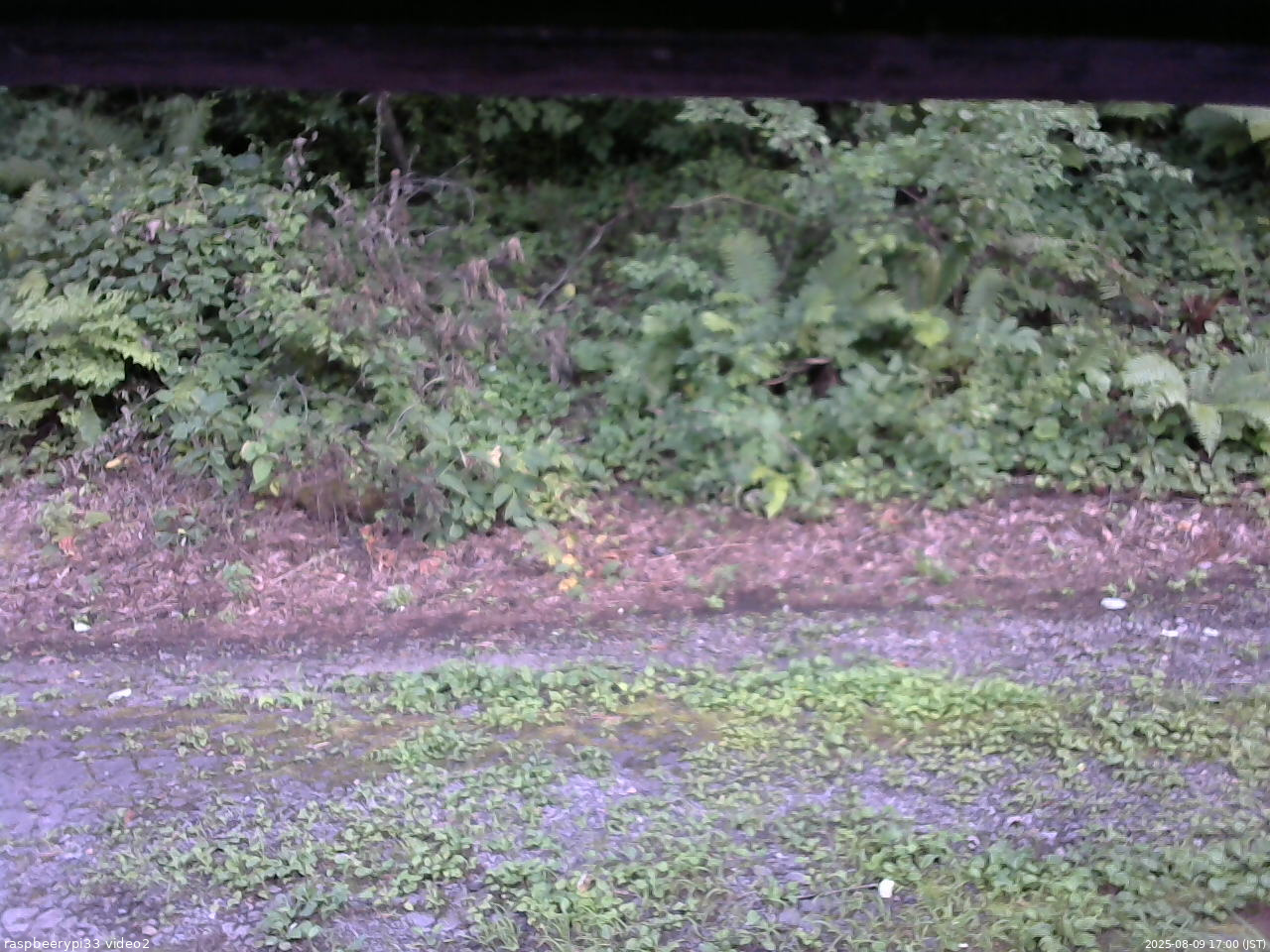 長野県菅平高原 ゆたか山荘 南側 2025/08/09 17:00