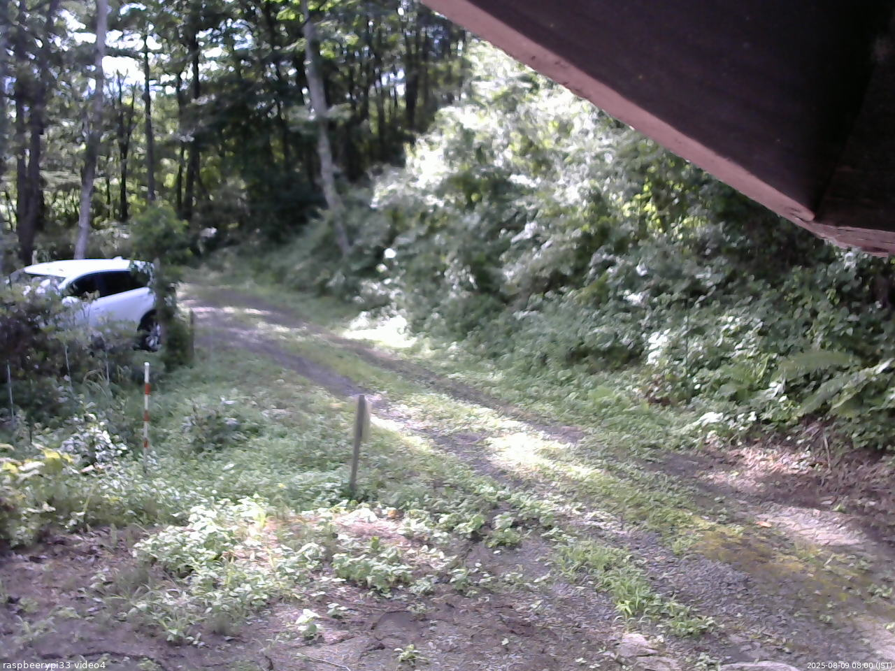 長野県菅平高原 ゆたか山荘 東側(坂下) 2025/08/09 08:00