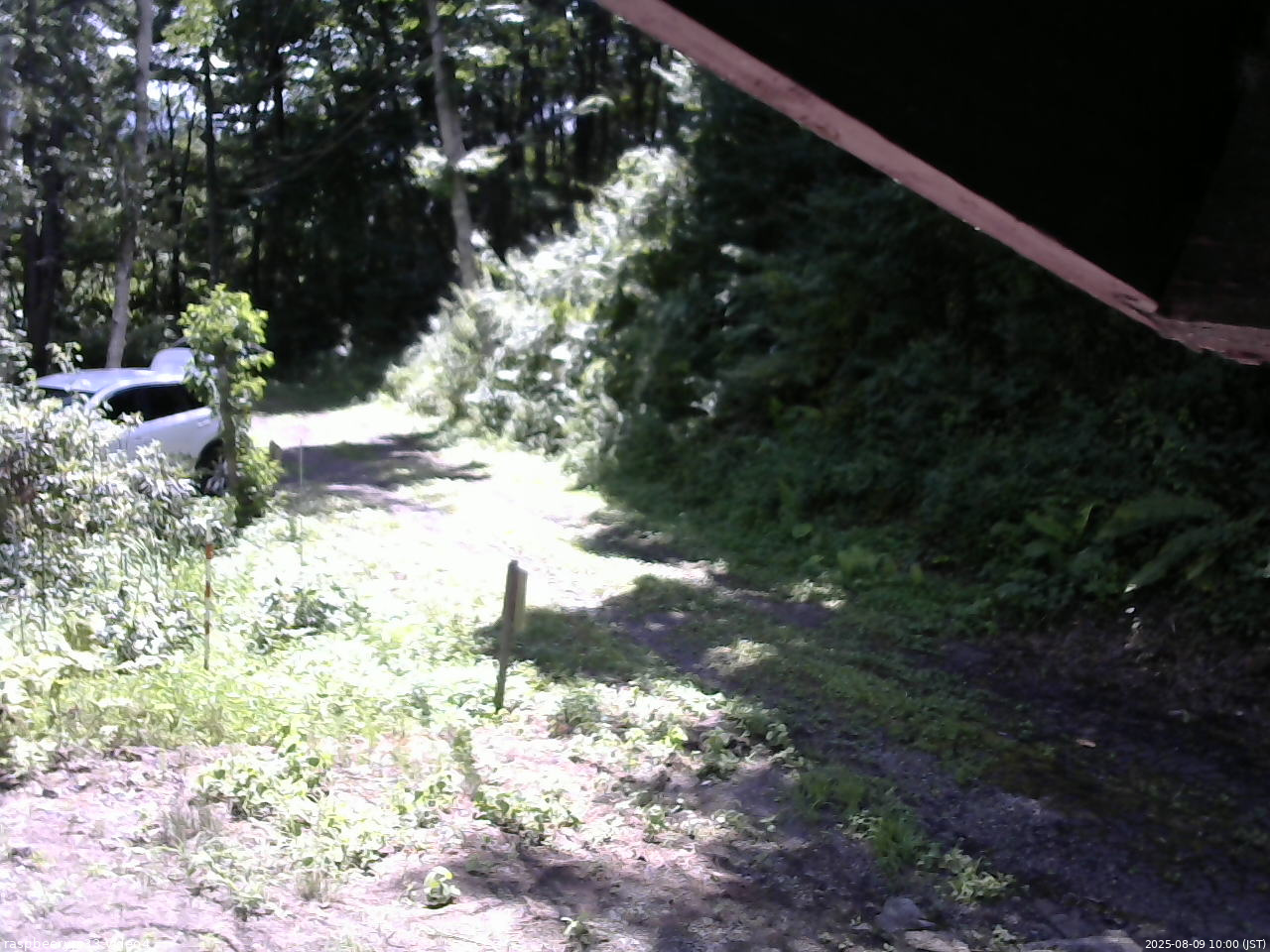 長野県菅平高原 ゆたか山荘 東側(坂下) 2025/08/09 10:00