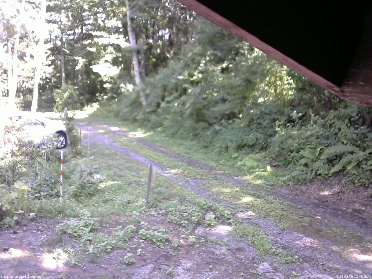 長野県菅平高原 ゆたか山荘 東側(坂下) 2025/08/09 13:45