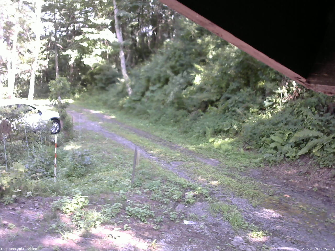 長野県菅平高原 ゆたか山荘 東側(坂下) 2025/08/09 14:15