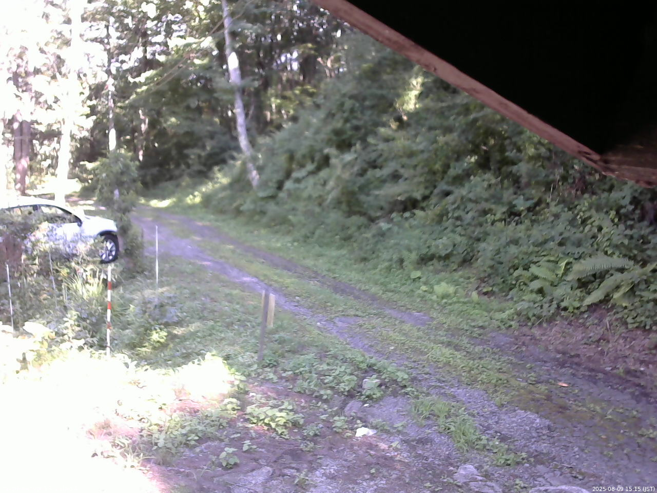 長野県菅平高原 ゆたか山荘 東側(坂下) 2025/08/09 15:15