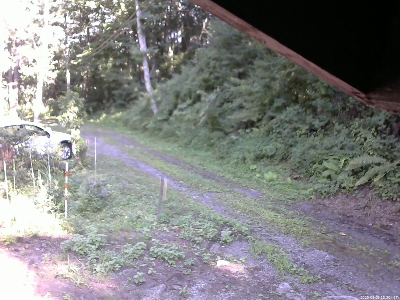 長野県菅平高原 ゆたか山荘 東側(坂下) 2025/08/09 15:30