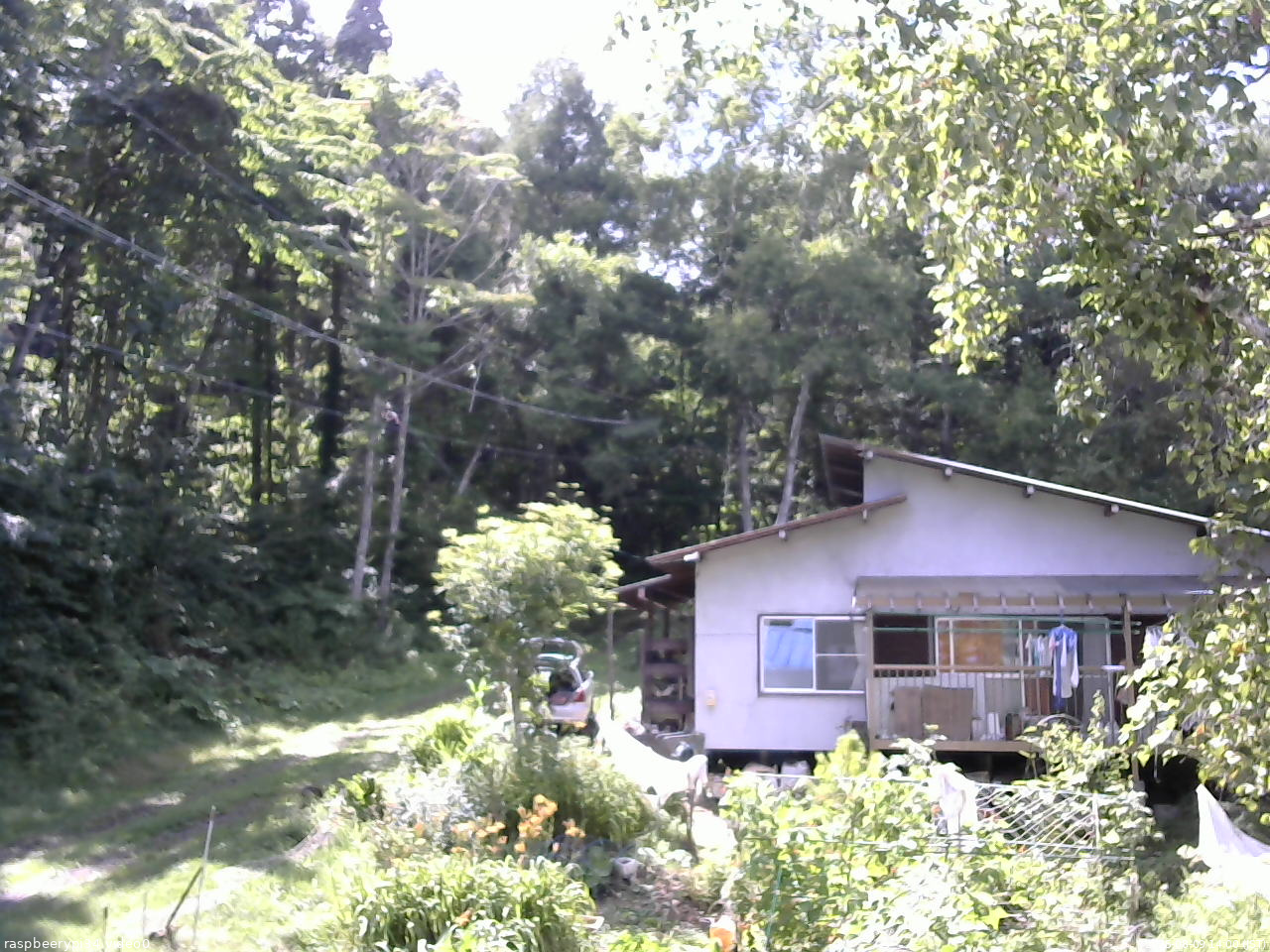 長野県菅平高原 ゆたか山荘 西側(坂上) 2025/08/09 14:00