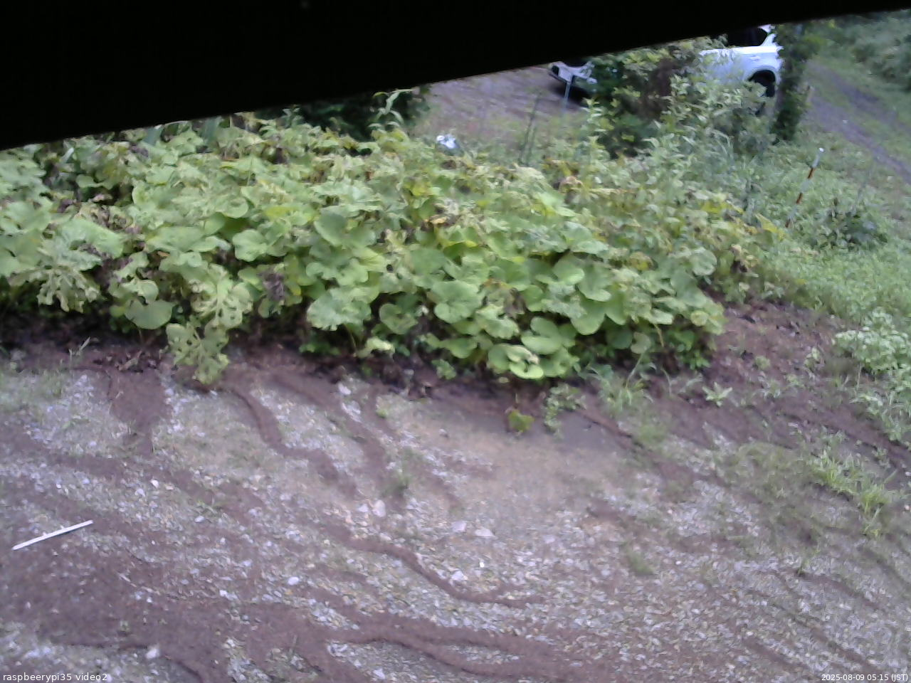 長野県菅平高原 ゆたか山荘 駐車場 2025/08/09 05:15