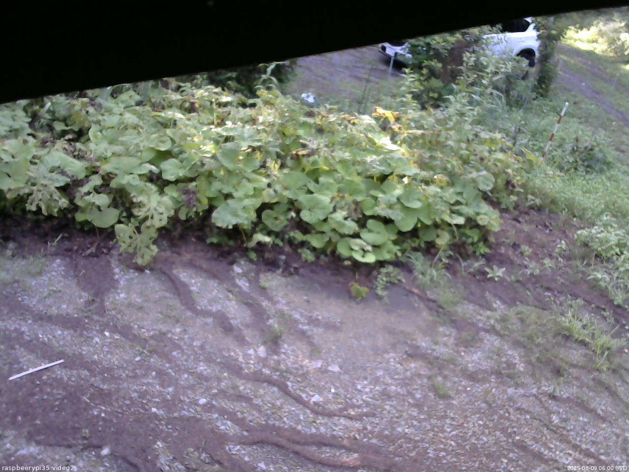 長野県菅平高原 ゆたか山荘 駐車場 2025/08/09 06:00