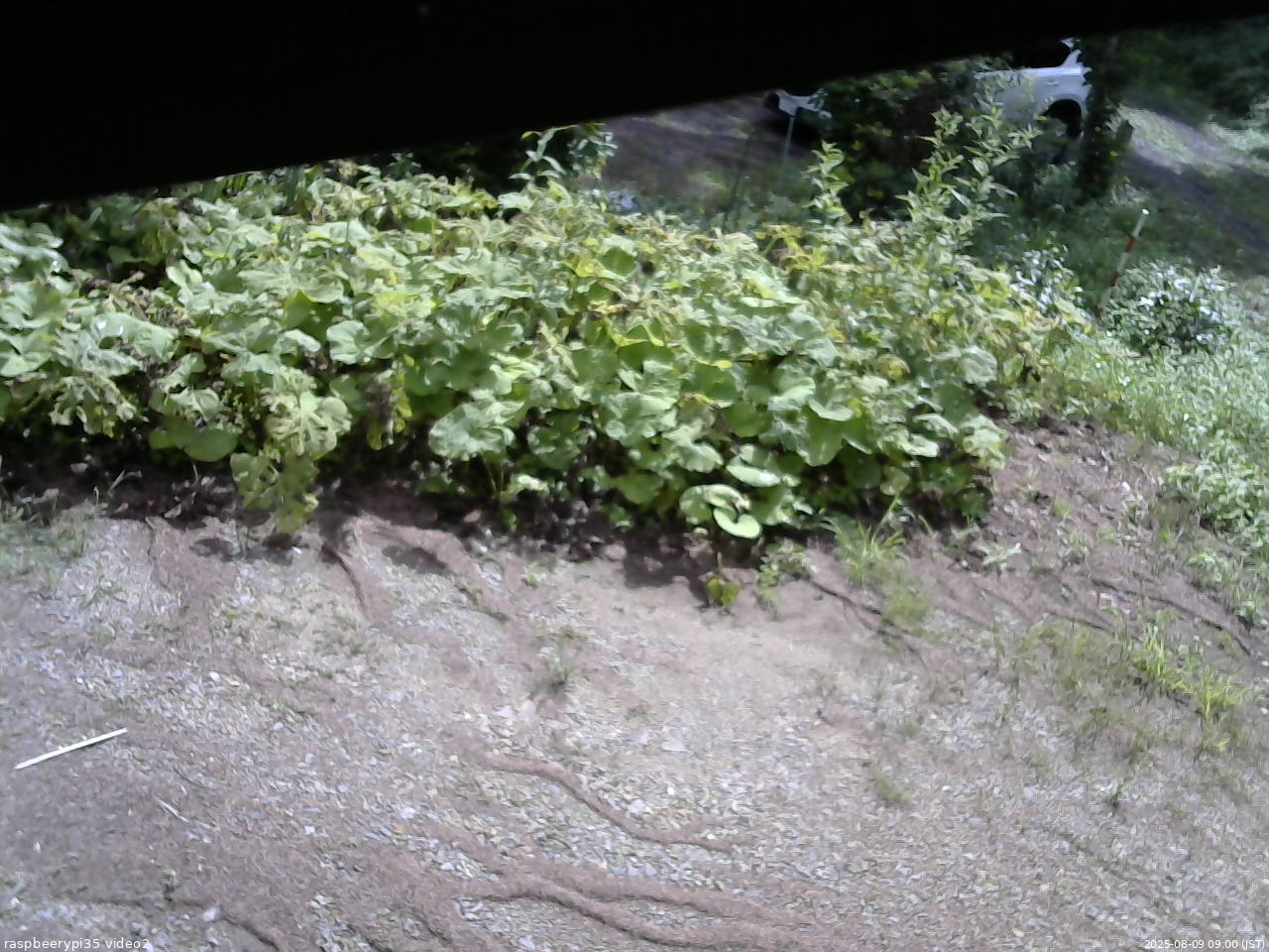 長野県菅平高原 ゆたか山荘 駐車場 2025/08/09 09:00