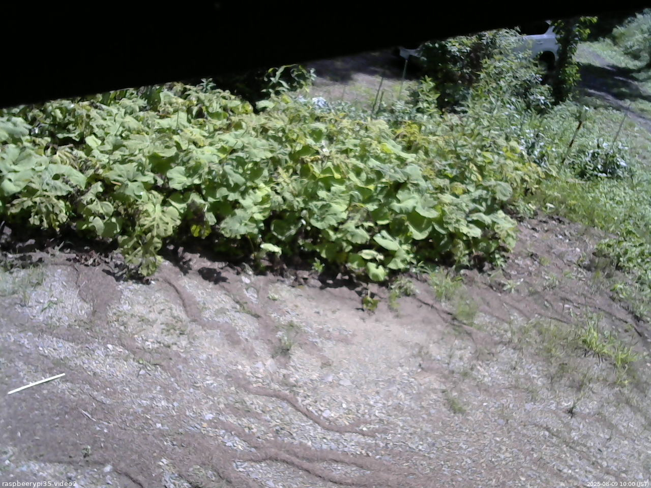 長野県菅平高原 ゆたか山荘 駐車場 2025/08/09 10:00
