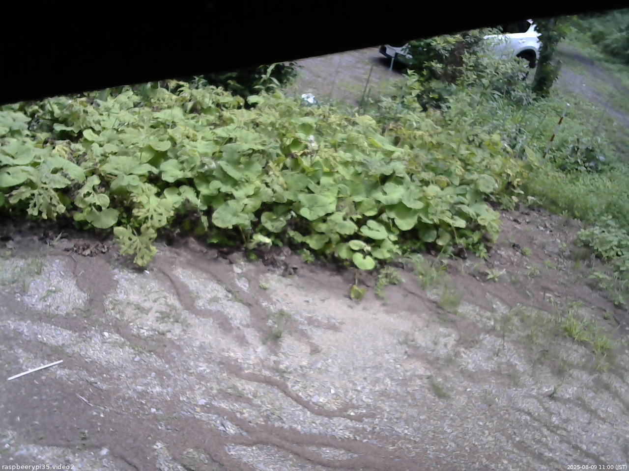 長野県菅平高原 ゆたか山荘 駐車場 2025/08/09 11:00