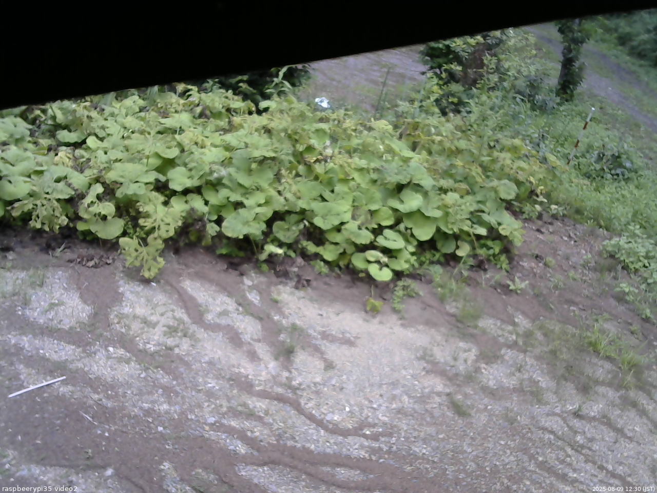 長野県菅平高原 ゆたか山荘 駐車場 2025/08/09 12:30