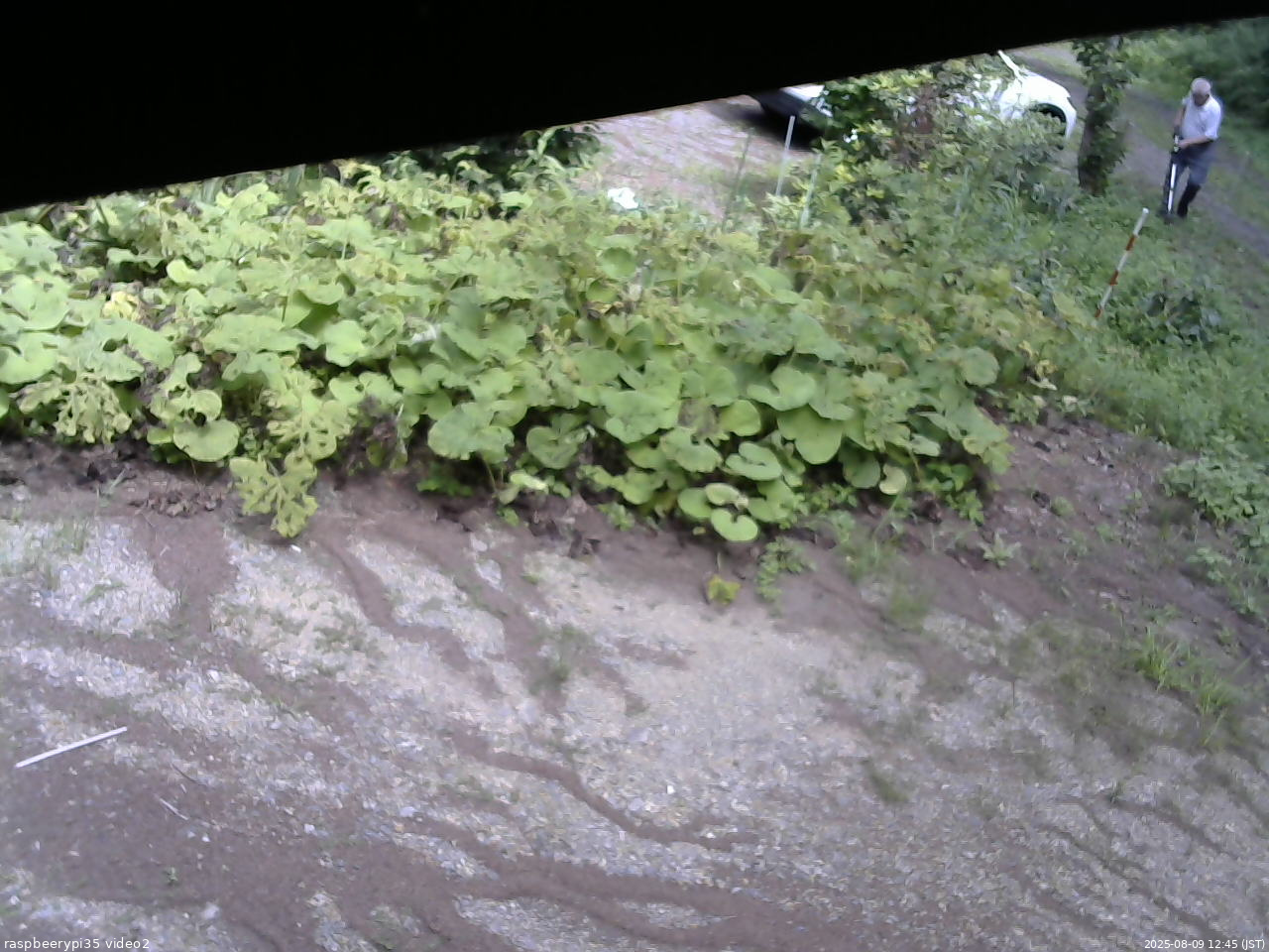 長野県菅平高原 ゆたか山荘 駐車場 2025/08/09 12:45