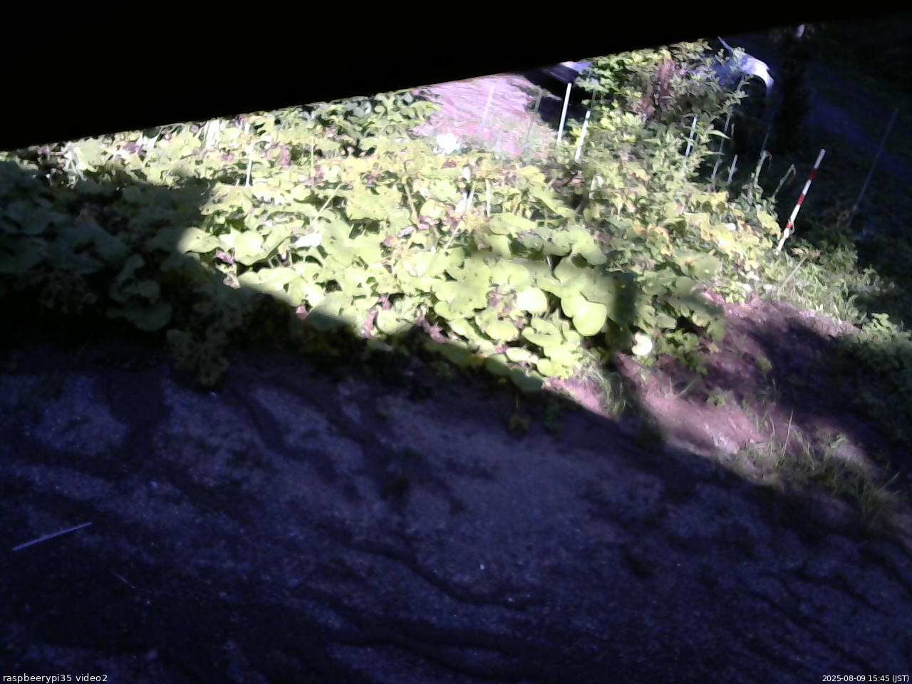 長野県菅平高原 ゆたか山荘 駐車場 2025/08/09 15:45