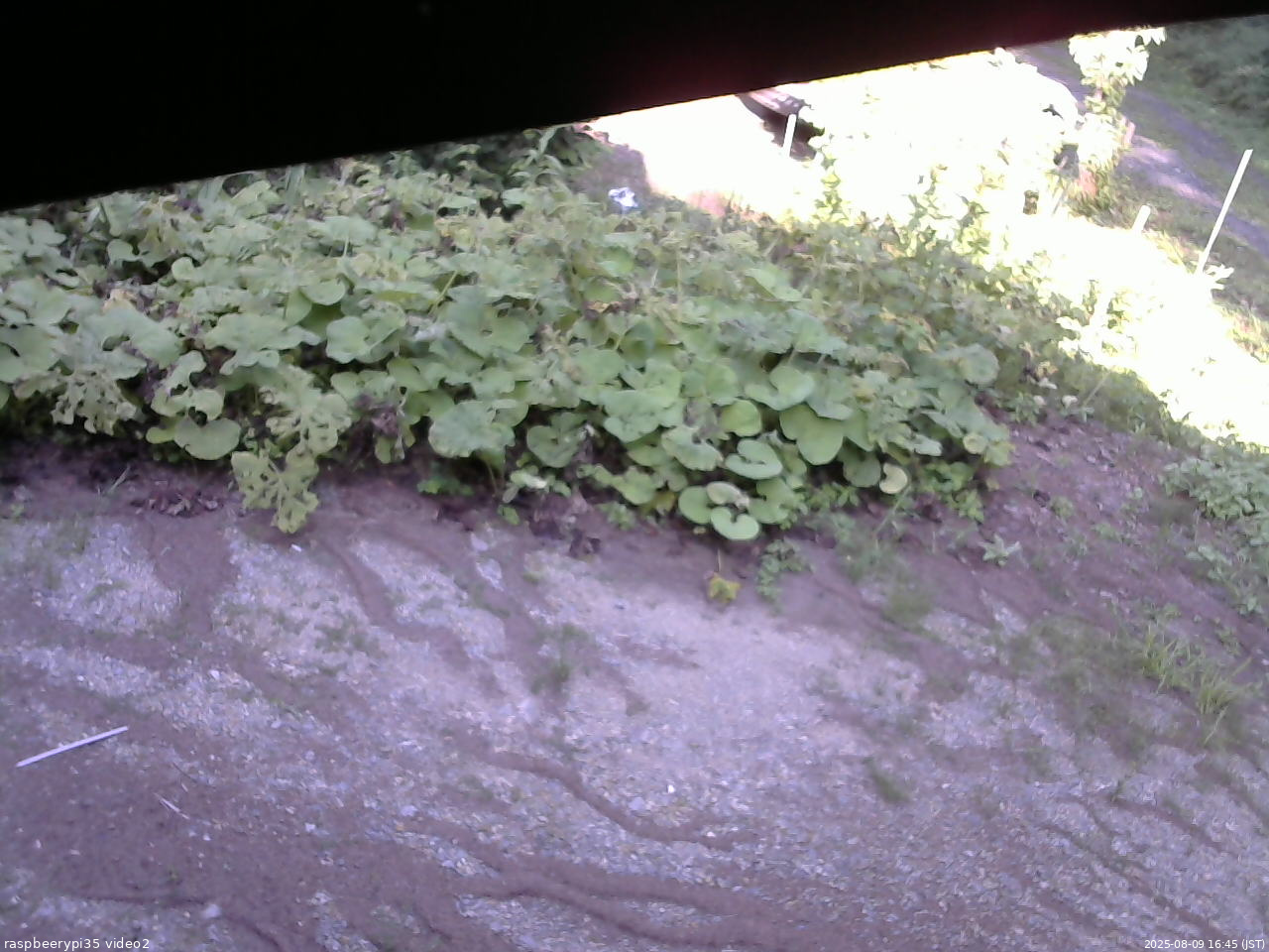 長野県菅平高原 ゆたか山荘 駐車場 2025/08/09 16:45