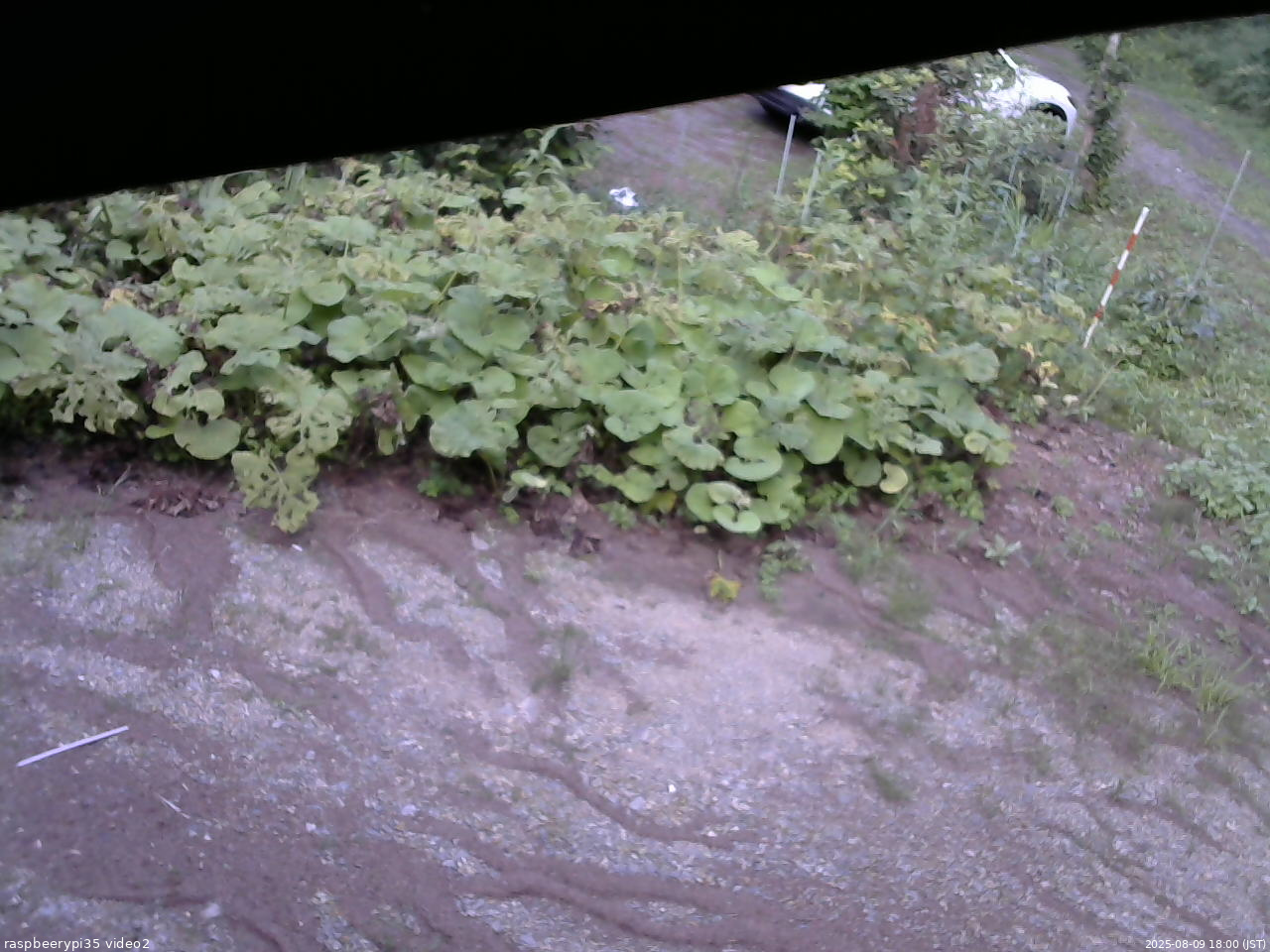 長野県菅平高原 ゆたか山荘 駐車場 2025/08/09 18:00