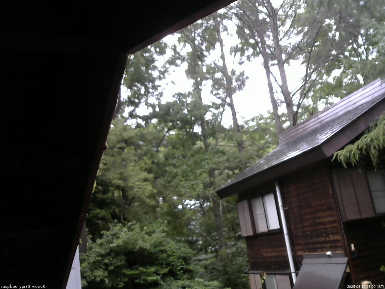 長野県菅平高原 ゆたか山荘 北側 2025/08/10 08:00