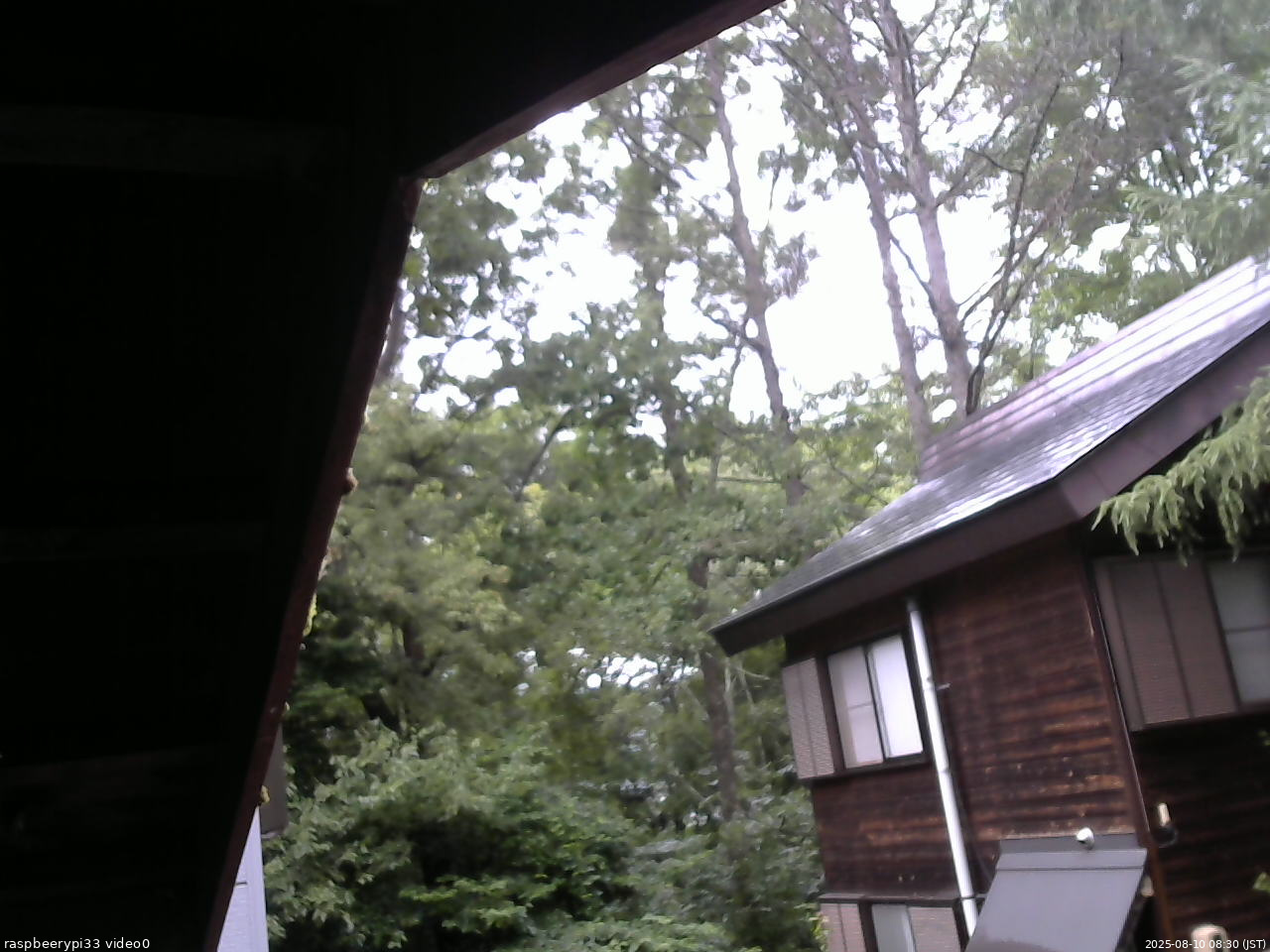 長野県菅平高原 ゆたか山荘 北側 2025/08/10 08:30