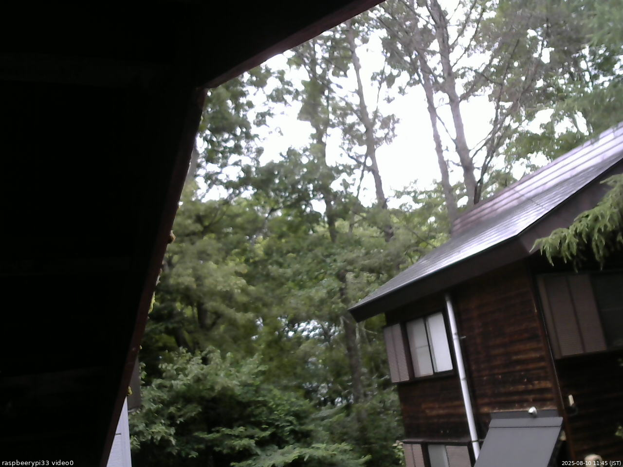 長野県菅平高原 ゆたか山荘 北側 2025/08/10 11:45