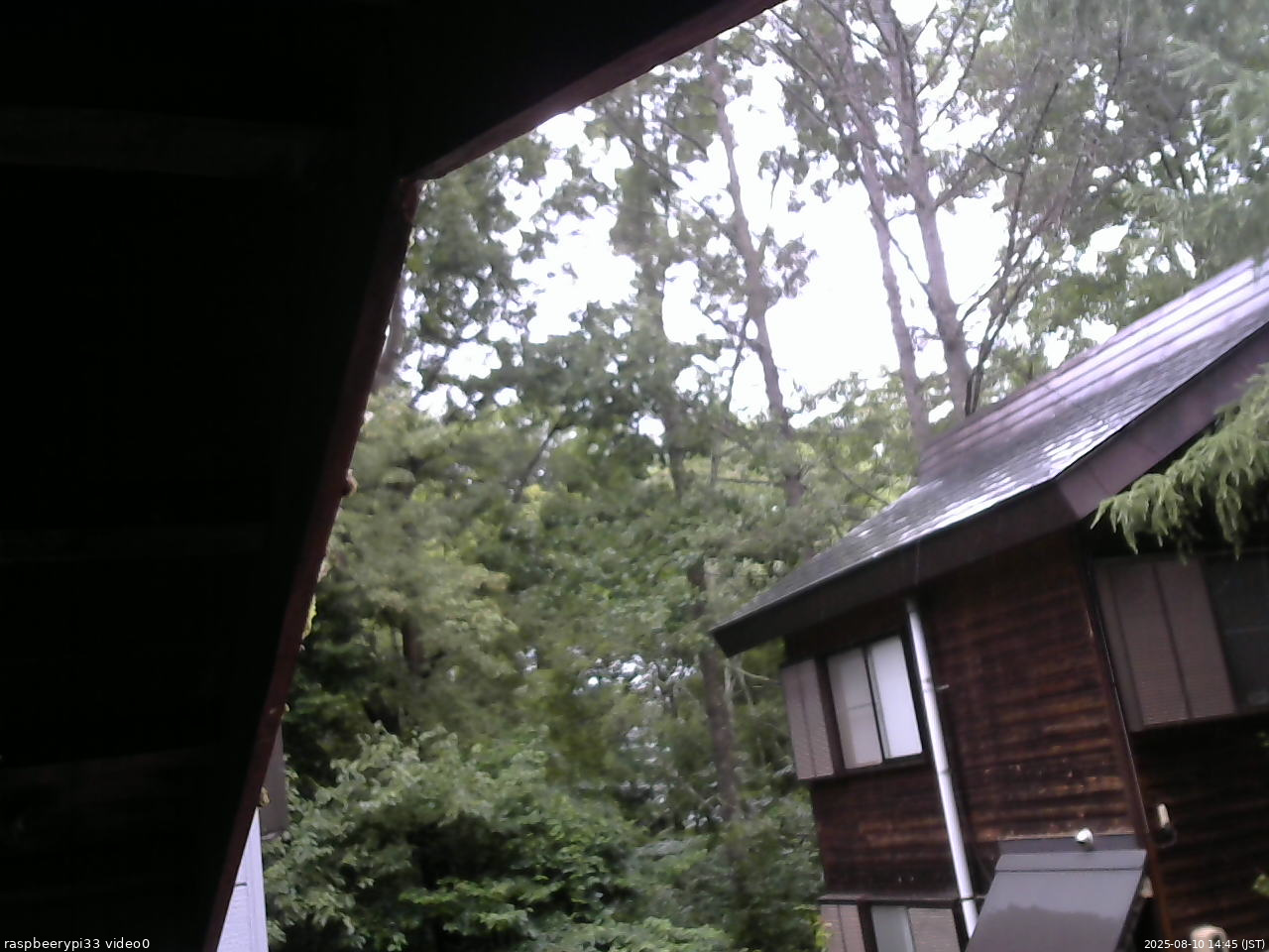 長野県菅平高原 ゆたか山荘 北側 2025/08/10 14:45