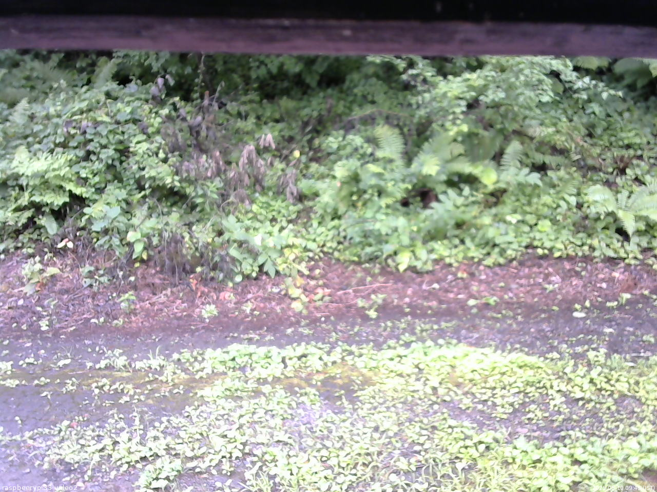 長野県菅平高原 ゆたか山荘 南側 2025/08/10 09:45