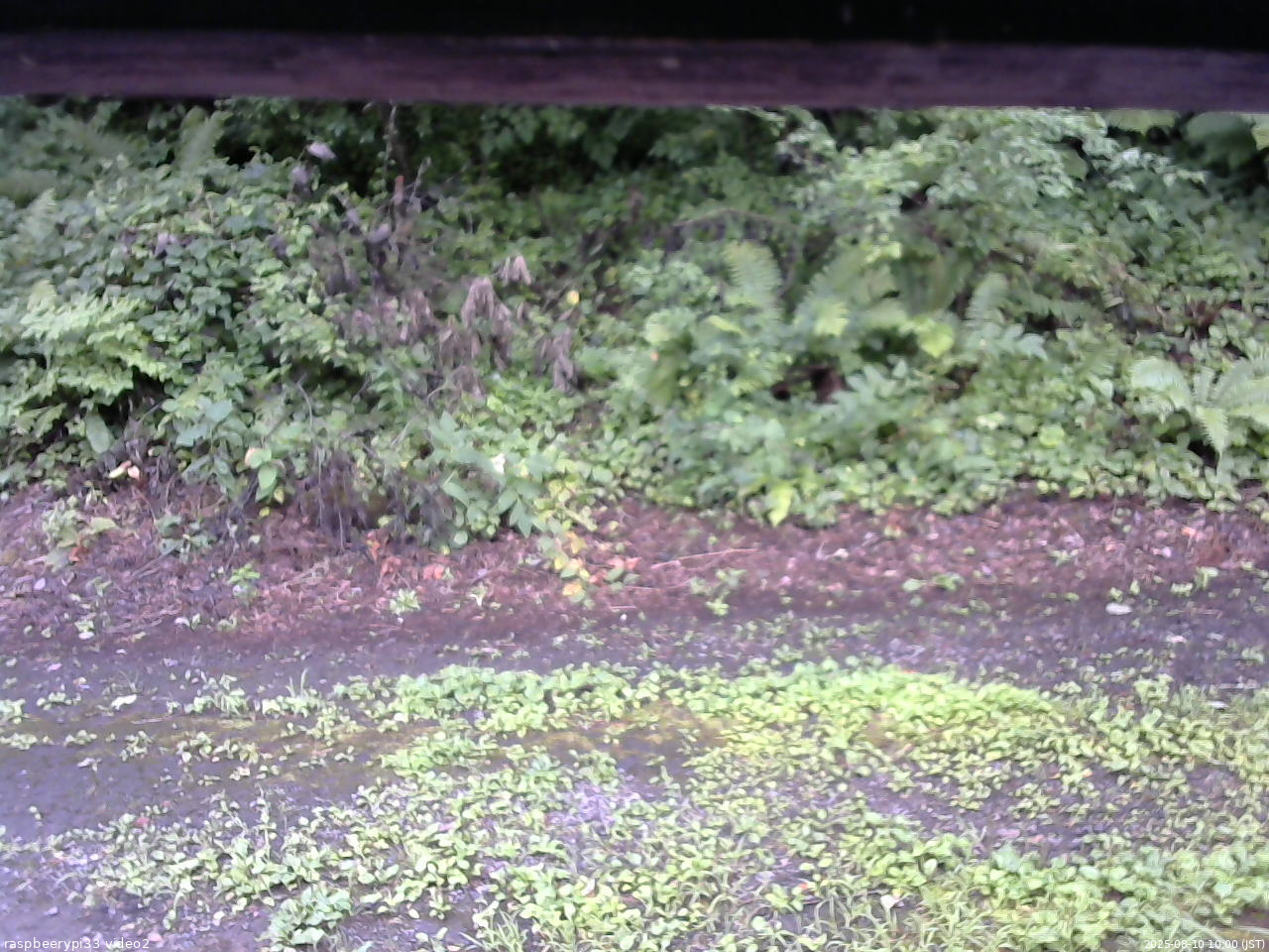 長野県菅平高原 ゆたか山荘 南側 2025/08/10 10:00