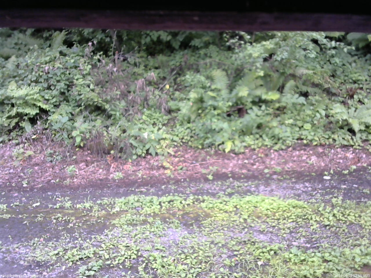 長野県菅平高原 ゆたか山荘 南側 2025/08/10 12:15