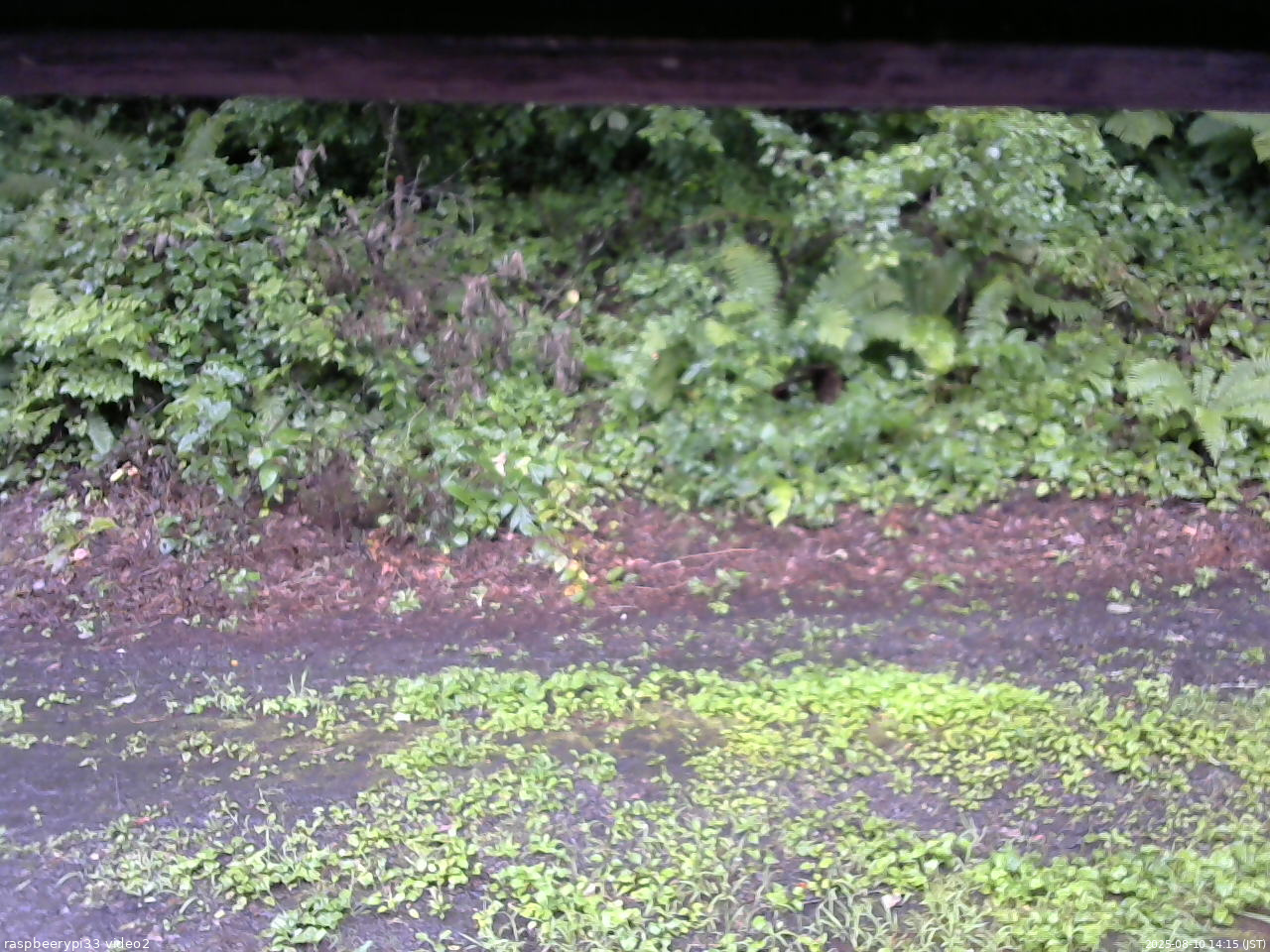 長野県菅平高原 ゆたか山荘 南側 2025/08/10 14:15