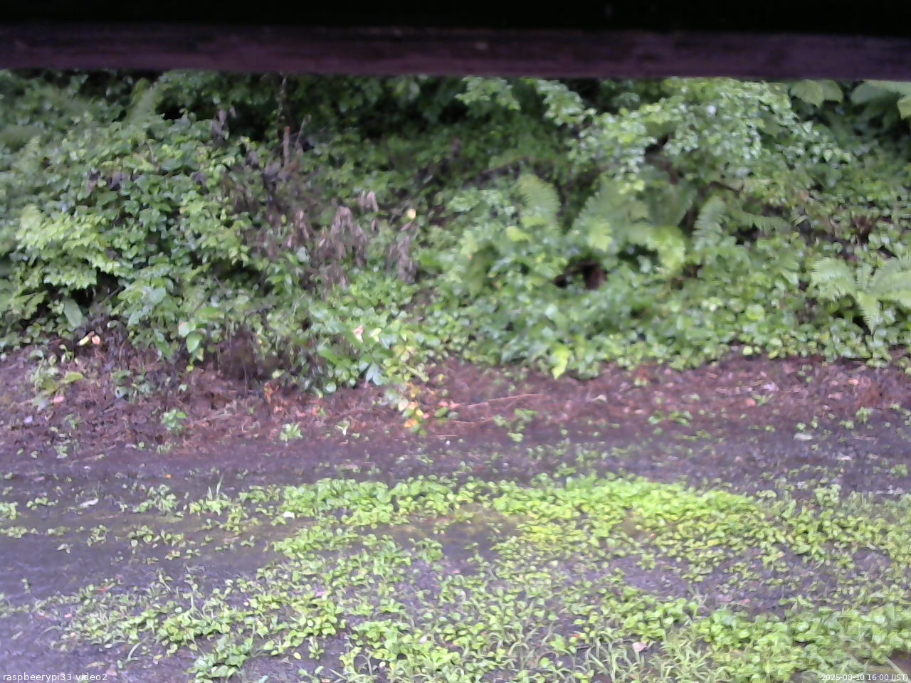 長野県菅平高原 ゆたか山荘 南側 2025/08/10 16:00