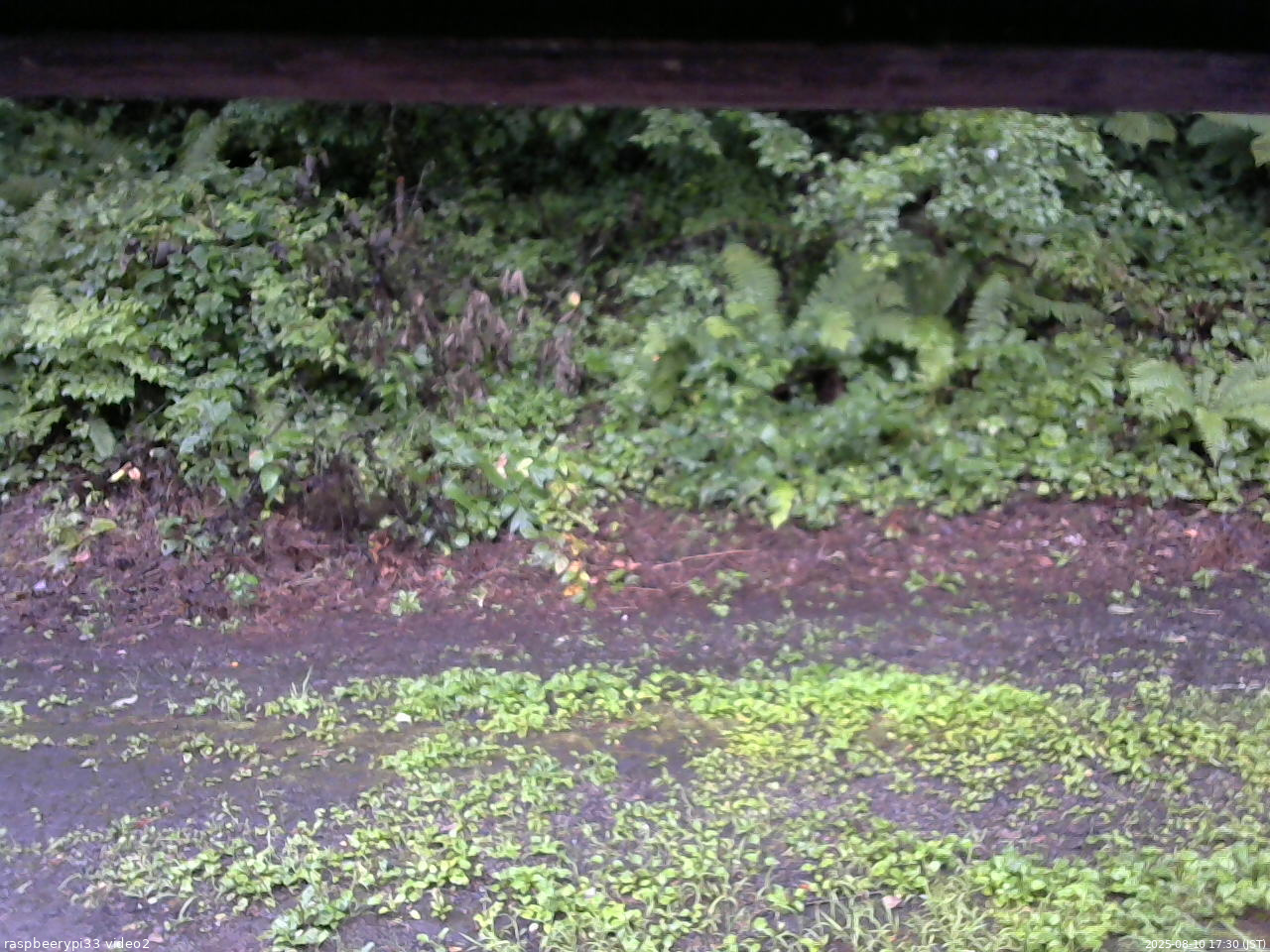 長野県菅平高原 ゆたか山荘 南側 2025/08/10 17:30