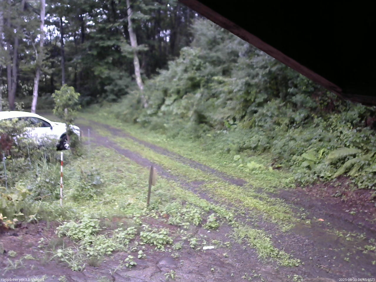長野県菅平高原 ゆたか山荘 東側(坂下) 2025/08/10 06:45