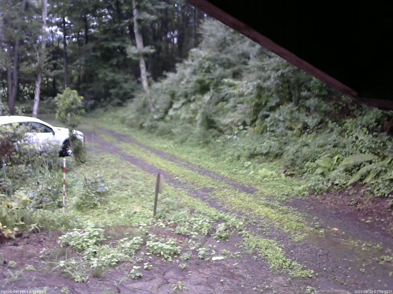 長野県菅平高原 ゆたか山荘 東側(坂下) 2025/08/10 07:30