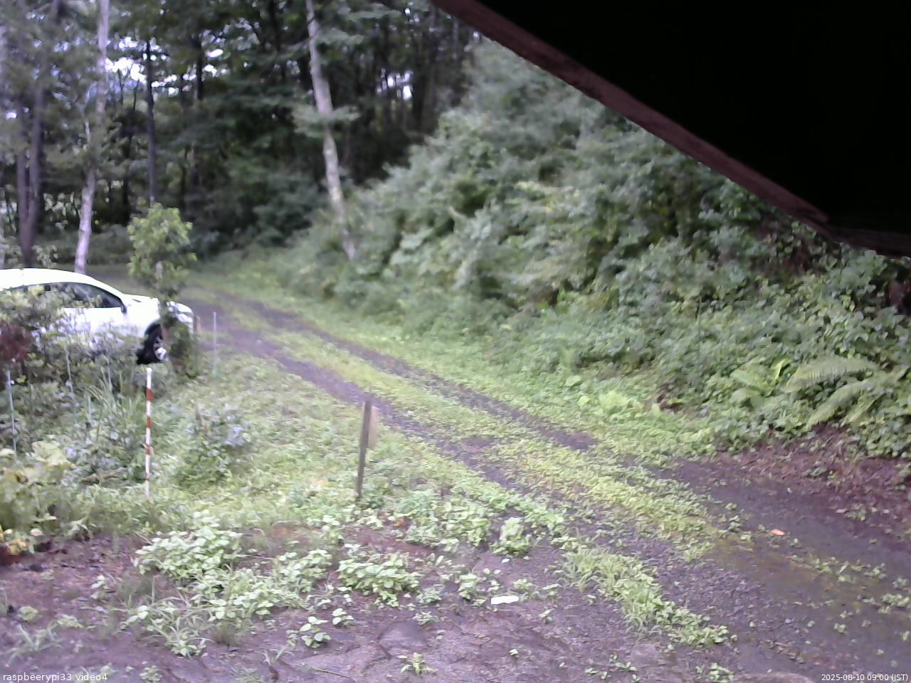 長野県菅平高原 ゆたか山荘 東側(坂下) 2025/08/10 09:00