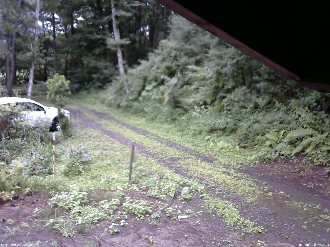 長野県菅平高原 ゆたか山荘 東側(坂下) 2025/08/10 09:15