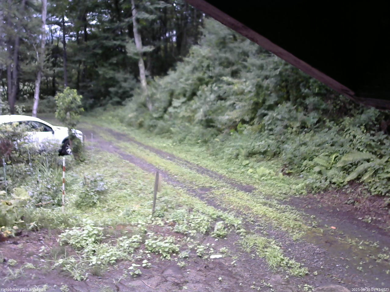 長野県菅平高原 ゆたか山荘 東側(坂下) 2025/08/10 09:45