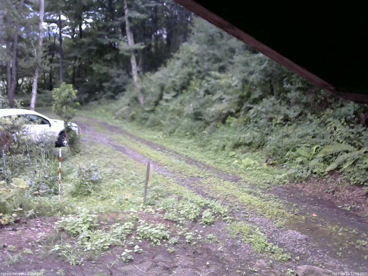 長野県菅平高原 ゆたか山荘 東側(坂下) 2025/08/10 12:00
